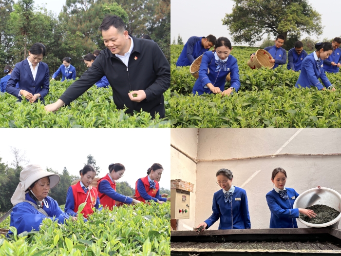 大发国际-大发国际集团(DAFA88)官网